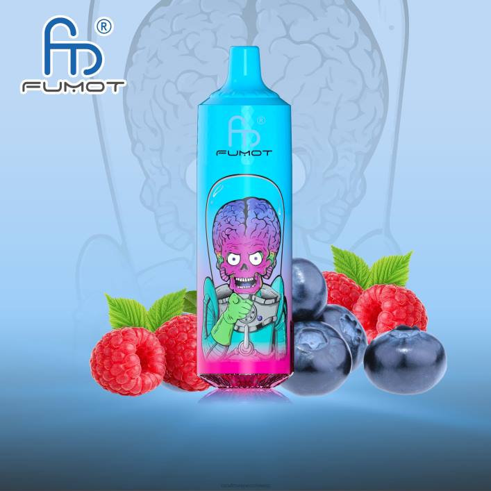 RandM Vape Erfahrung | Fumot RandM Tornado 00P2186 9000 Pro Vape-Gerät mit Akku und E-Juice-Display Version 1 Blaubeer-Himbeere